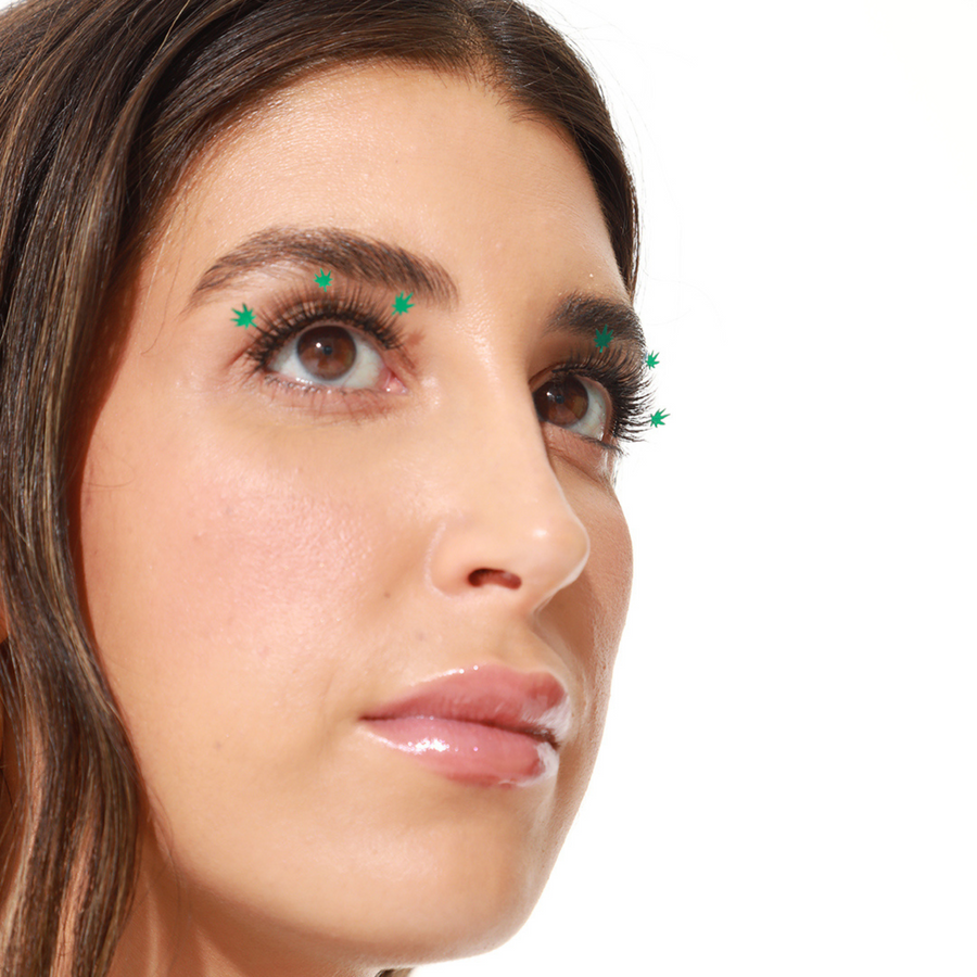 MJ Lashes - PaintLab