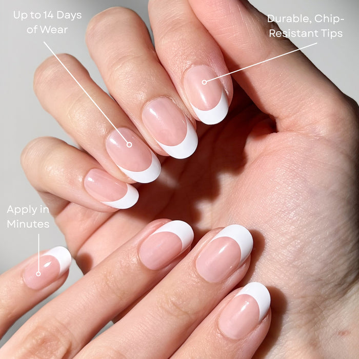 Frenchie Oval - PaintLab