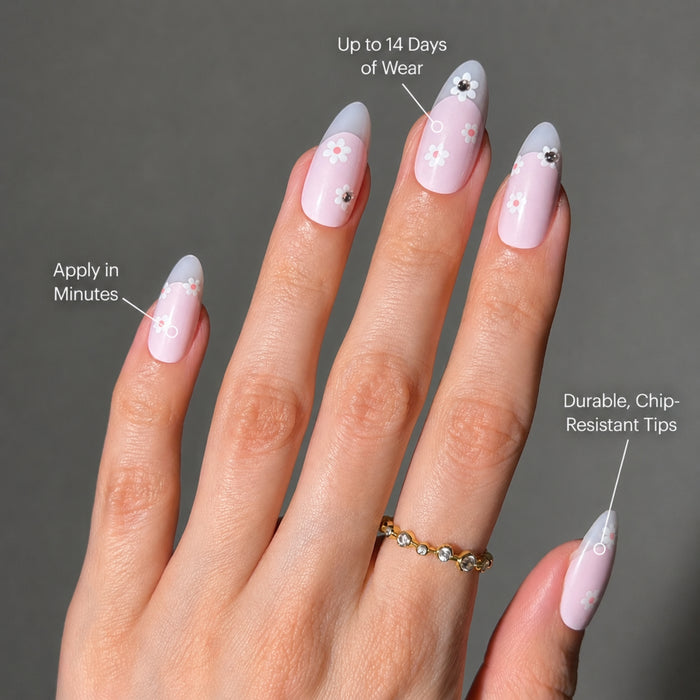 Dainty Daisy - PaintLab