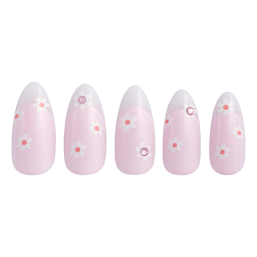 Dainty Daisy - PaintLab