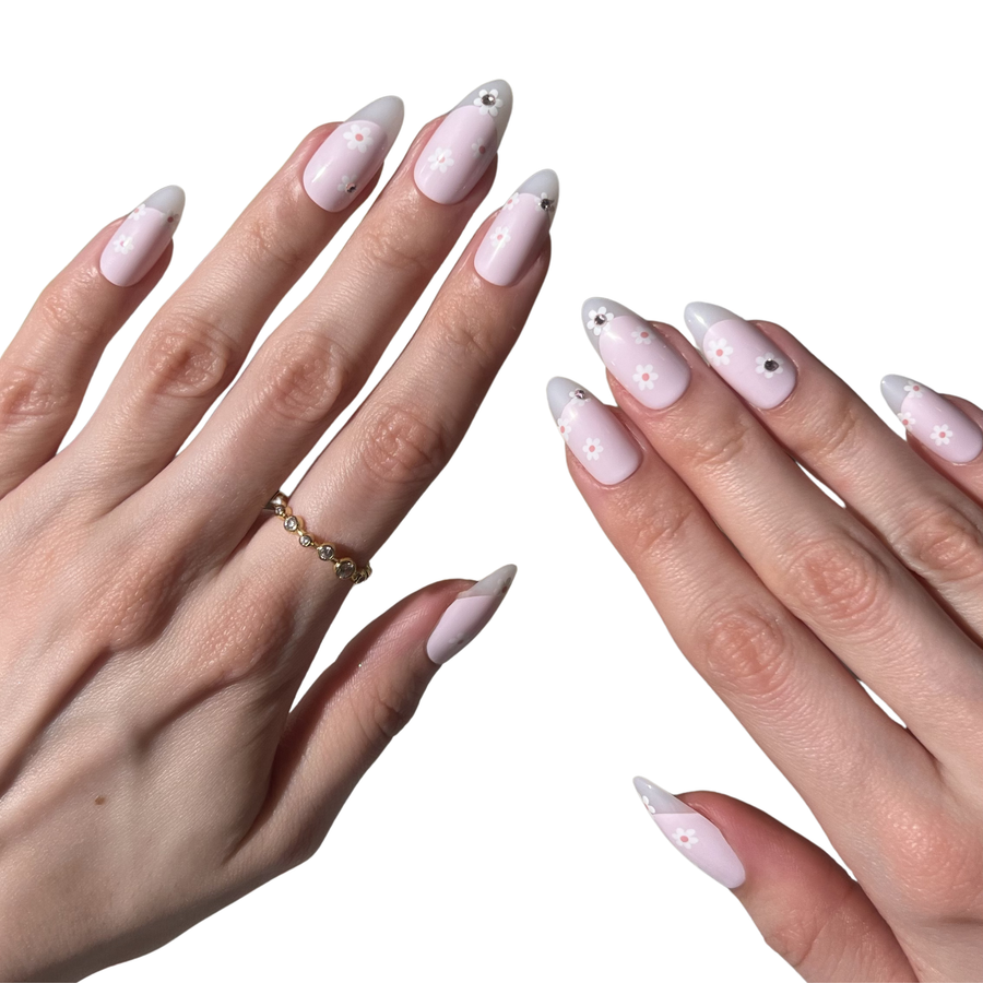 Dainty Daisy - PaintLab