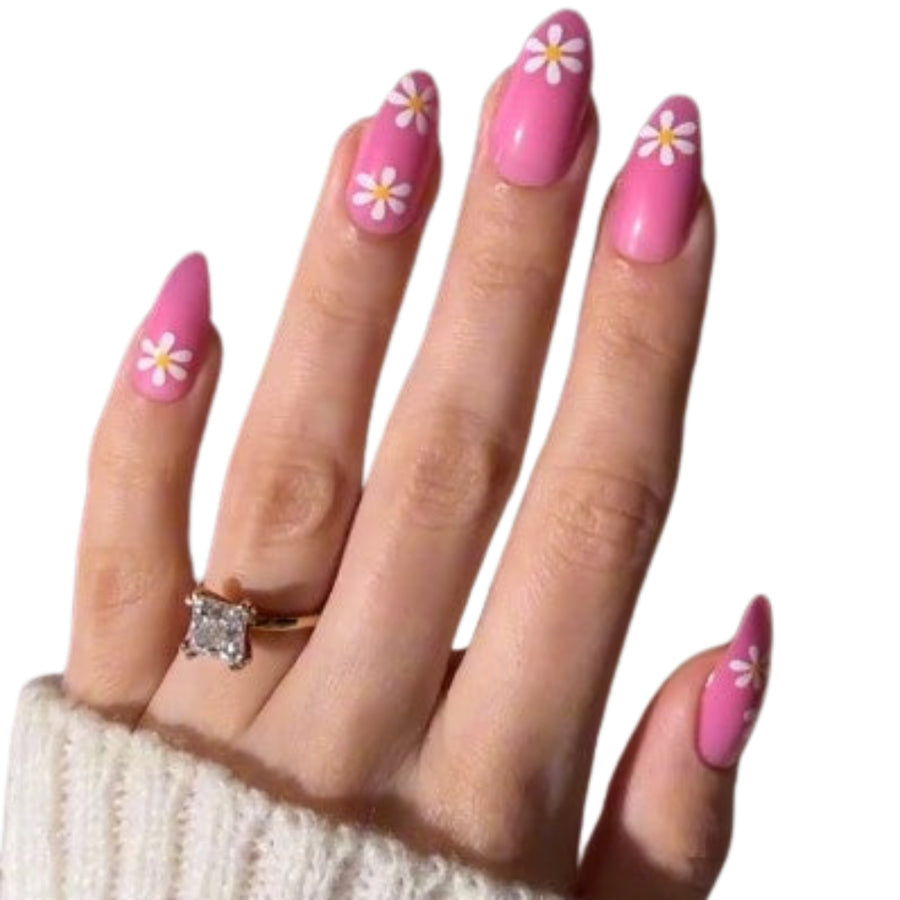 Daisy Pink - PaintLab