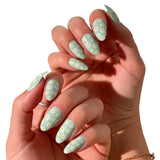 Daisy - PaintLab