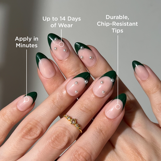 Forest Green - PaintLab