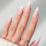 Spring Collection - PaintLab