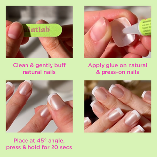 Iconic Frenchie - PaintLab