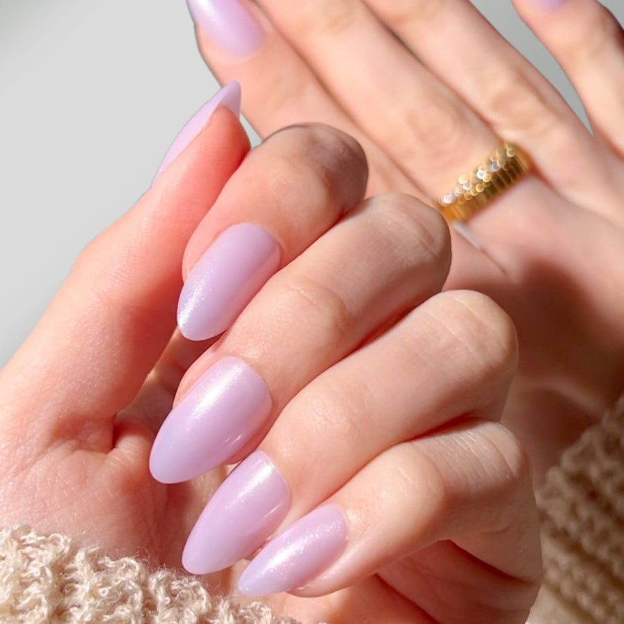 Spring Collection - PaintLab
