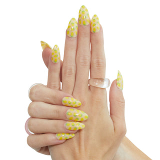 Limoncello - PaintLab