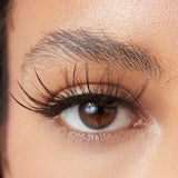 Frenchie Magnetic Eyelashes - PaintLab