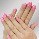 Pink Daisy II - PaintLab