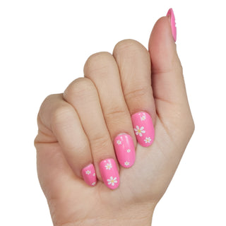 Pink Daisy II - PaintLab