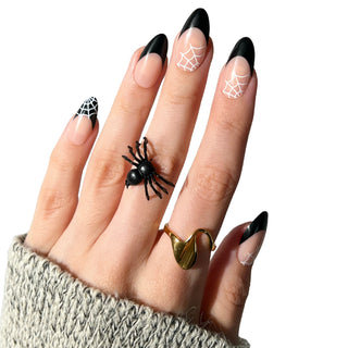 Spooky Spider - Halloween - PaintLab