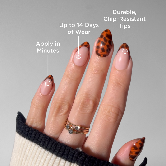 Tortie Tips - PaintLab