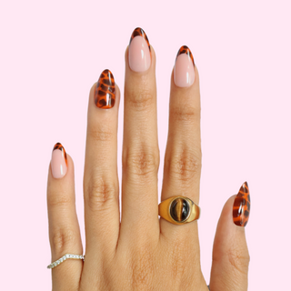 Tortie Tips - PaintLab