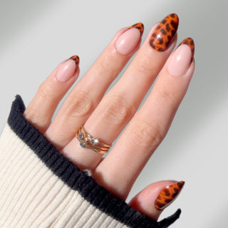 Best Sellers Collection