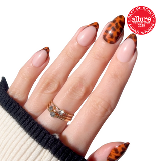 Tortie Tips - PaintLab