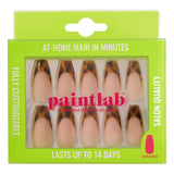 Tortoise Chic - PaintLab