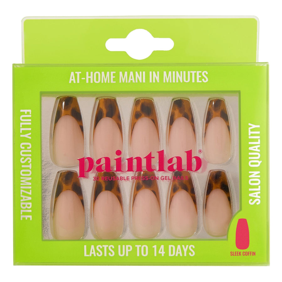 Tortoise Chic - PaintLab